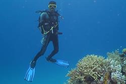 Dive Centre Equinox, Marsa Alam - Red Sea.